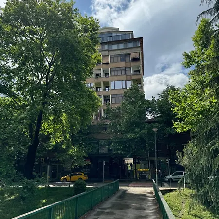 Palme Dor Tirana