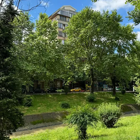 Apartment Palme Dor